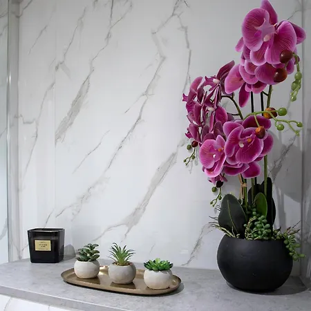 Prestige - Rose Platinum