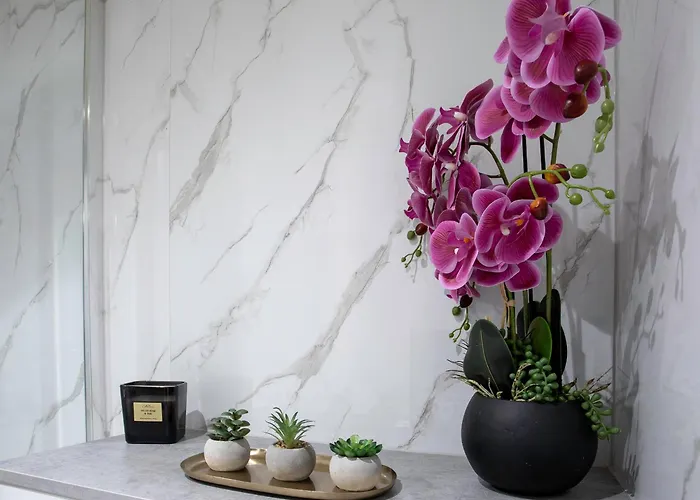 Prestige - Rose Platinum